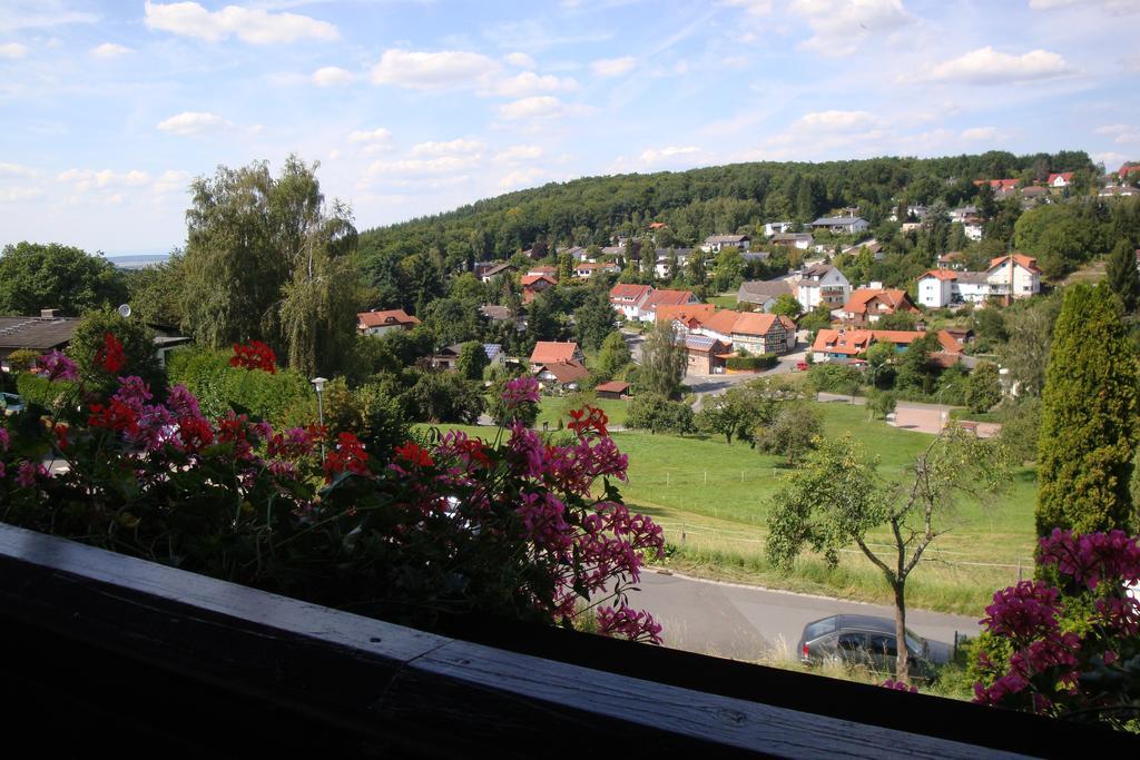 Pension Talblick Hoechst im Odenwald Екстер'єр фото